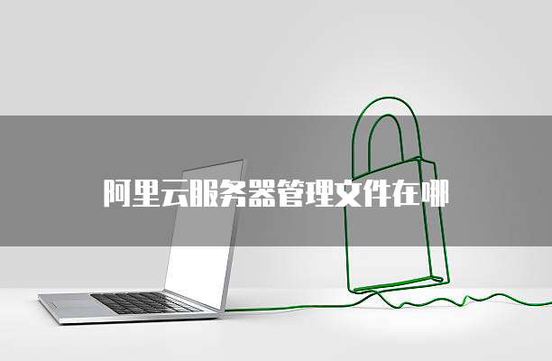 阿里云服务器管理文件在哪