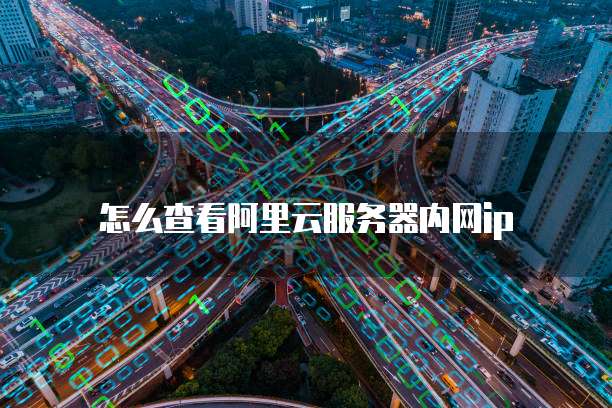 怎么查看阿里云服务器内网ip
