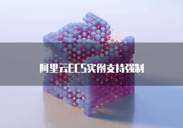阿里云ECS实例支持强制