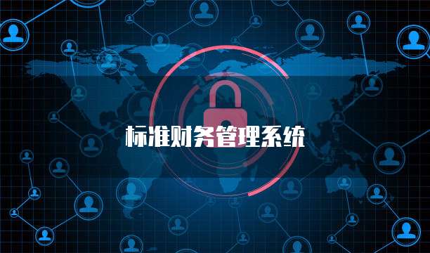 标准财务管理系统