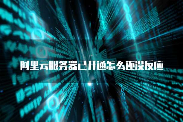 阿里云服务器已开通怎么还没反应