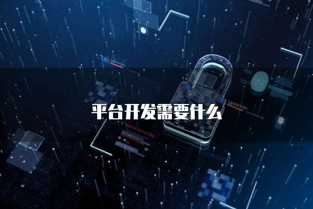 平台开发需要什么