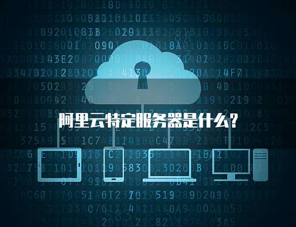 阿里云特定服务器是什么？