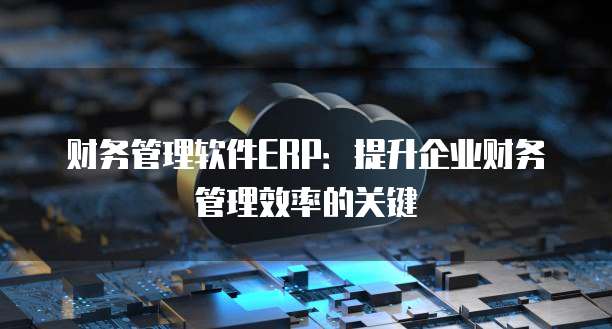 财务管理软件ERP:提升企业财务管理效率的关键