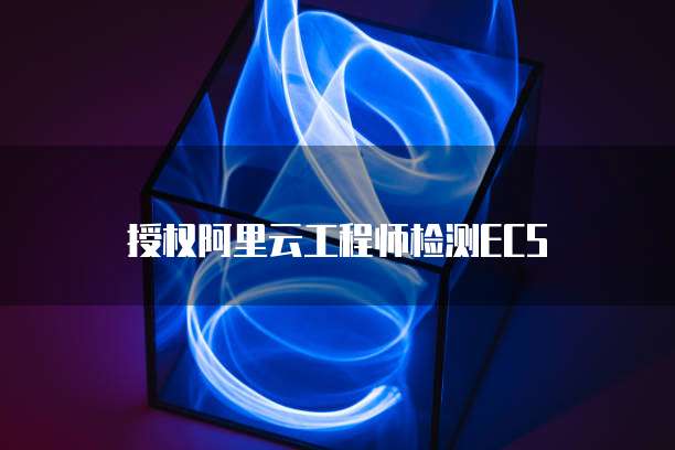 授权阿里云工程师检测ECS