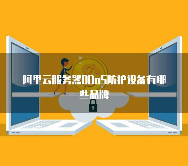 阿里云服务器DDoS防护设备有哪些品牌