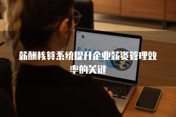 薪酬核算系统提升企业薪资管理效率的关键