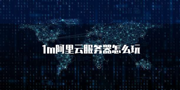 1m阿里云服务器怎么玩