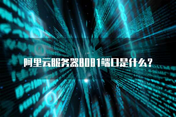 阿里云服务器8081端口是什么?