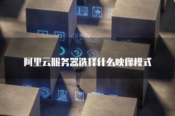 阿里云服务器选择什么映像模式