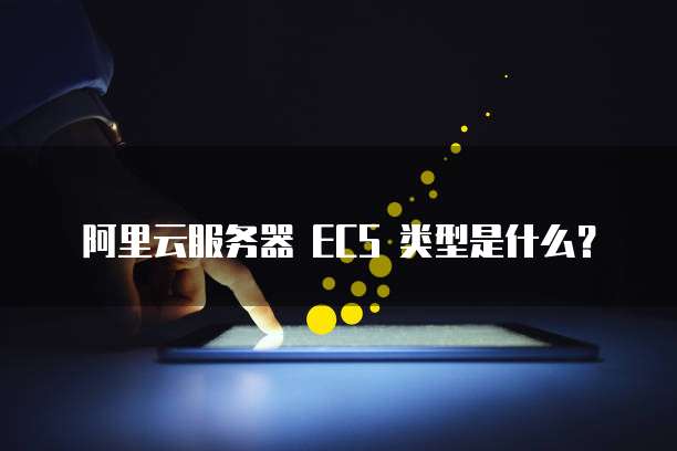 阿里云服务器 ECS 类型是什么?