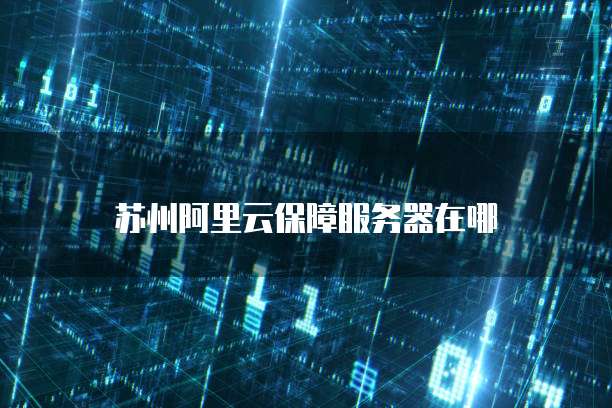苏州阿里云保障服务器在哪