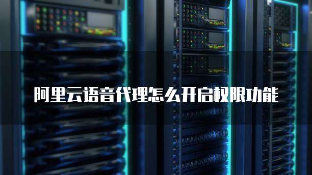 阿里云语音代理怎么开启权限功能