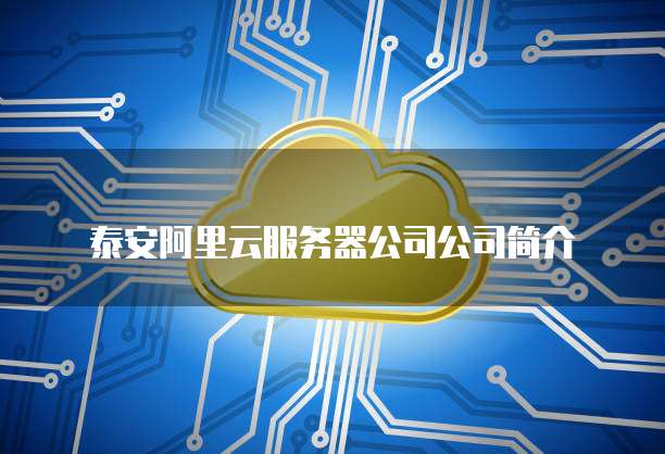 泰安阿里云服务器公司公司简介