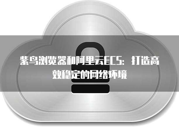 紫鸟浏览器和阿里云ECS：打造高效稳定的网络环境