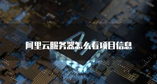 阿里云服务器怎么看项目信息