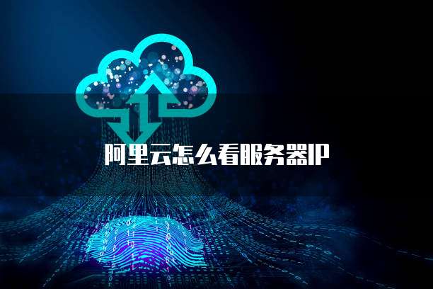 阿里云怎么看服务器IP