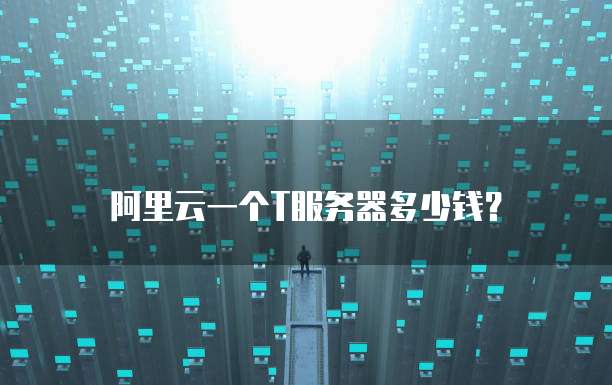 阿里云一个T服务器多少钱?