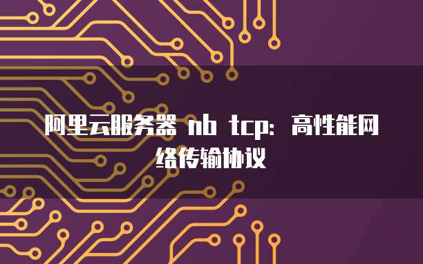 阿里云服务器 nb tcp：高性能网络传输协议