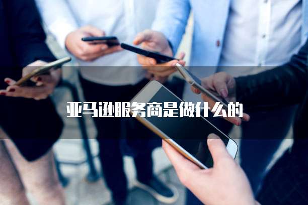 亚马逊服务商是做什么的