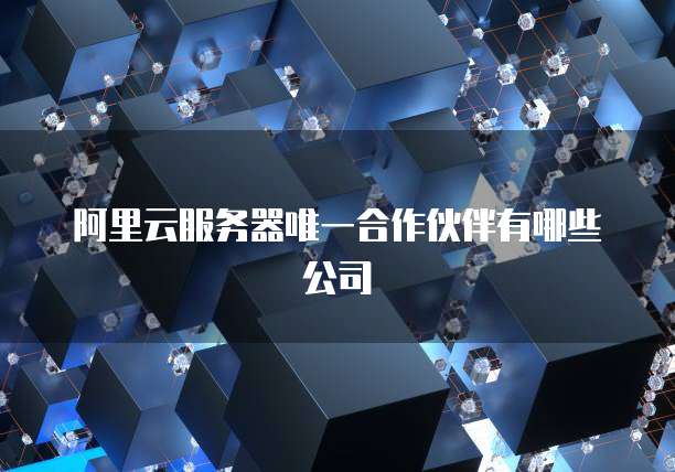 阿里云服务器唯一合作伙伴有哪些公司