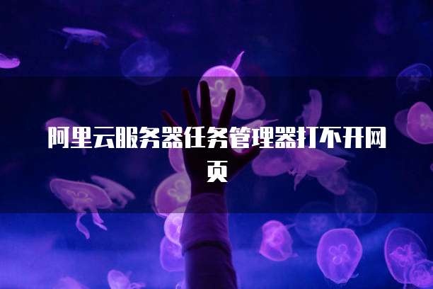 阿里云服务器任务管理器打不开网页