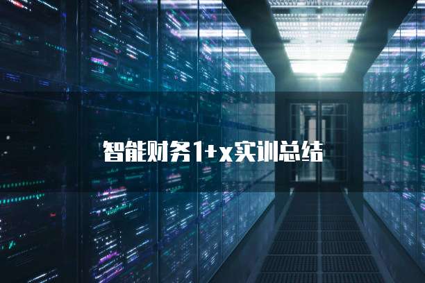 智能财务1+x实训总结