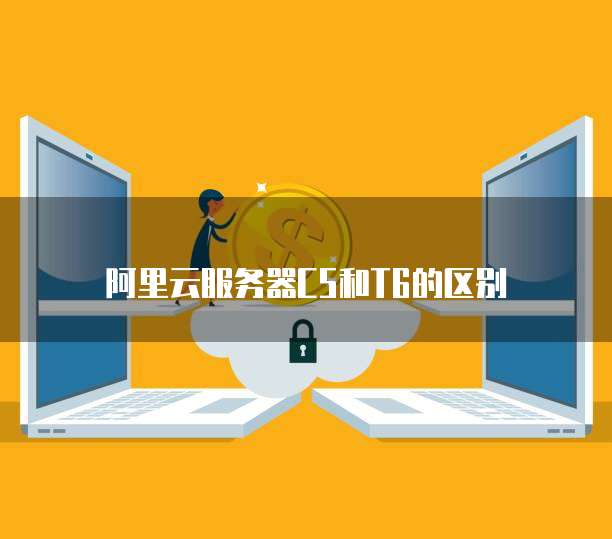 阿里云服务器C5和T6的区别