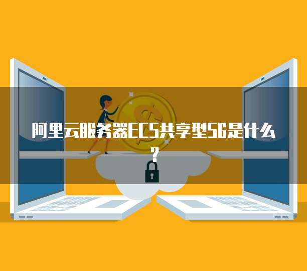 阿里云服务器ECS共享型S6是什么?
