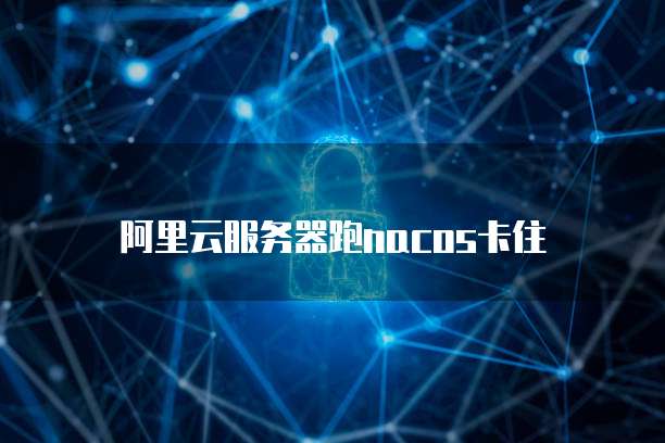 阿里云服务器跑nacos卡住