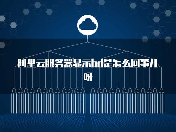 阿里云服务器显示hd是怎么回事儿呀