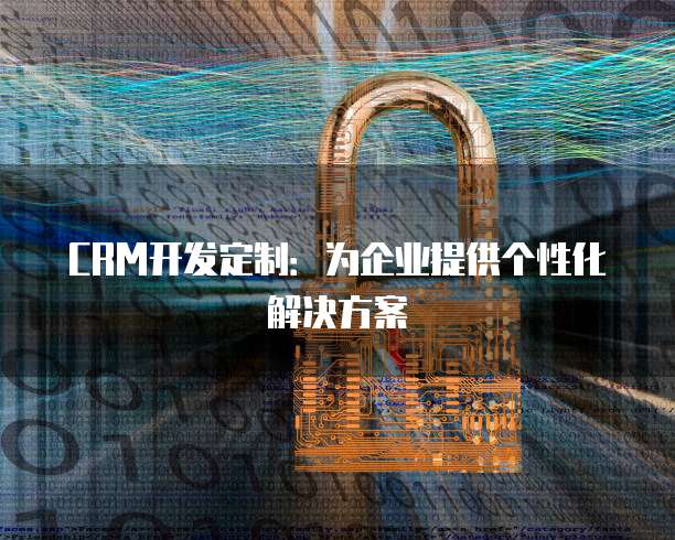 CRM开发定制：为企业提供个性化解决方案