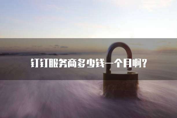 钉钉服务商多少钱一个月啊?