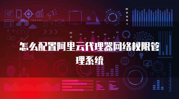 怎么配置阿里云代理器网络权限管理系统