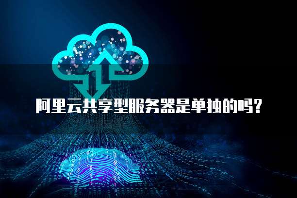 阿里云共享型服务器是单独的吗？
