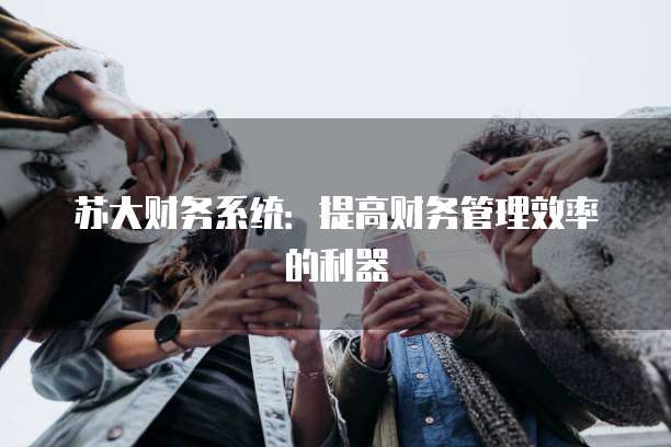 苏大财务系统：提高财务管理效率的利器