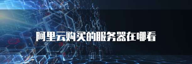 阿里云购买的服务器在哪看