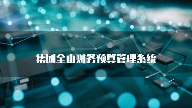 集团全面财务预算管理系统
