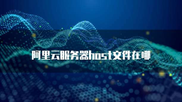 阿里云服务器host文件在哪