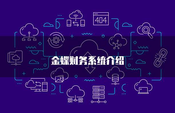 金蝶财务系统介绍