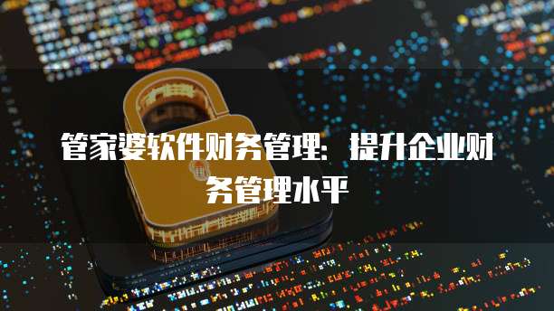 管家婆软件财务管理:提升企业财务管理水平