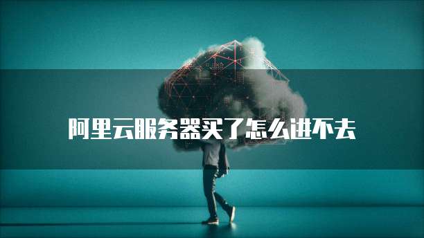 阿里云服务器买了怎么进不去