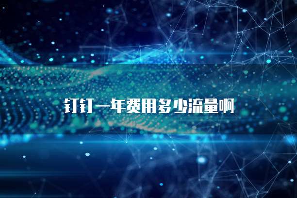 钉钉一年费用多少流量啊