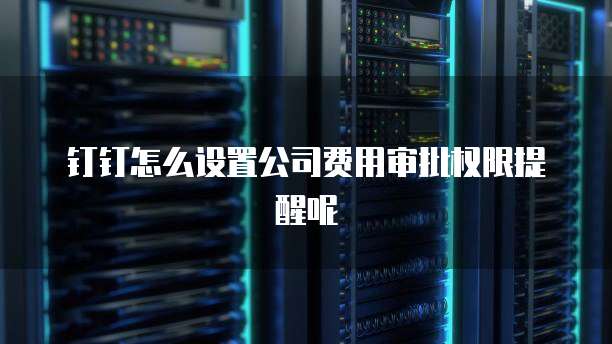 钉钉怎么设置公司费用审批权限提醒呢
