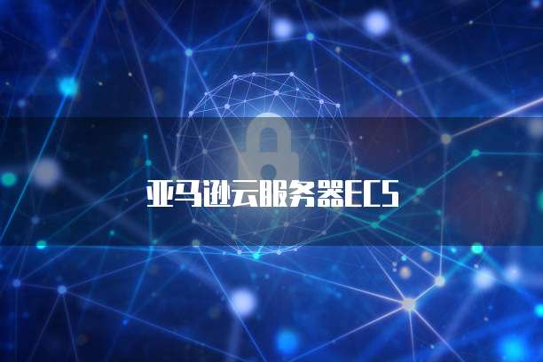 钉钉会议升级专业版怎么用的啊