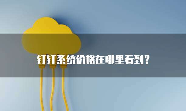 钉钉系统价格在哪里看到?