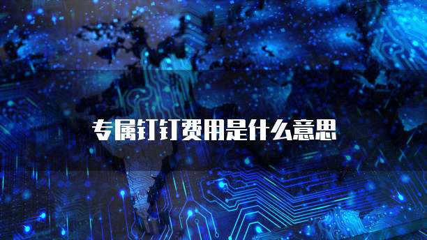 专属钉钉费用是什么意思