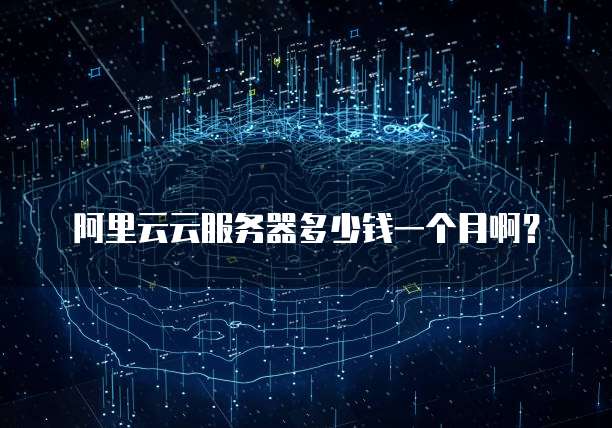 阿里云云服务器多少钱一个月啊?