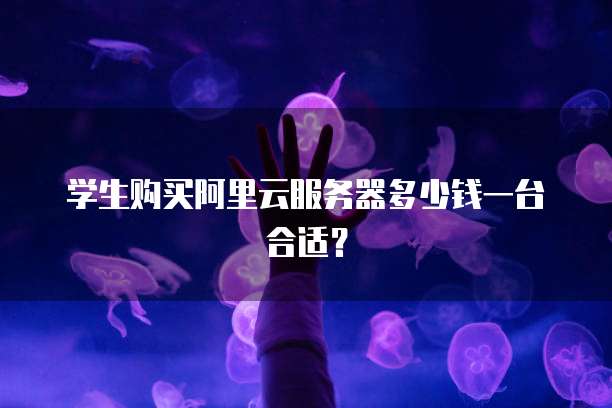 学生购买阿里云服务器多少钱一台合适?