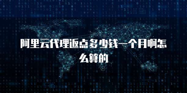 阿里云代理返点多少钱一个月啊怎么算的